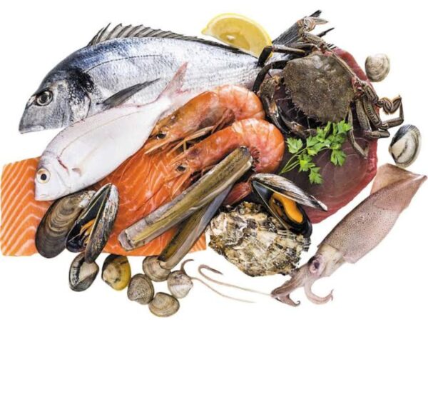 Seafood